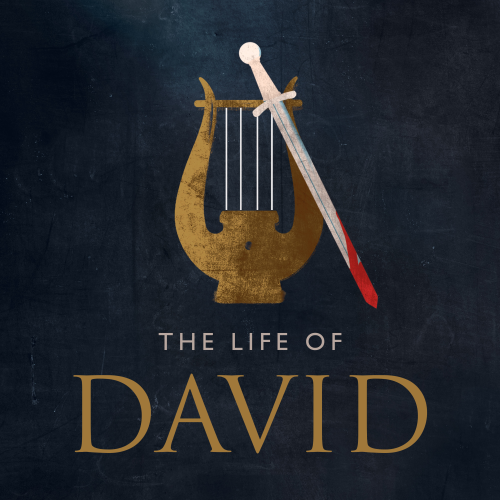 Album Art of David's Harp